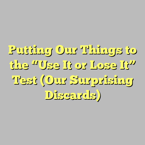 Putting Our Things to the “Use It or Lose It” Test (Our Surprising Discards)