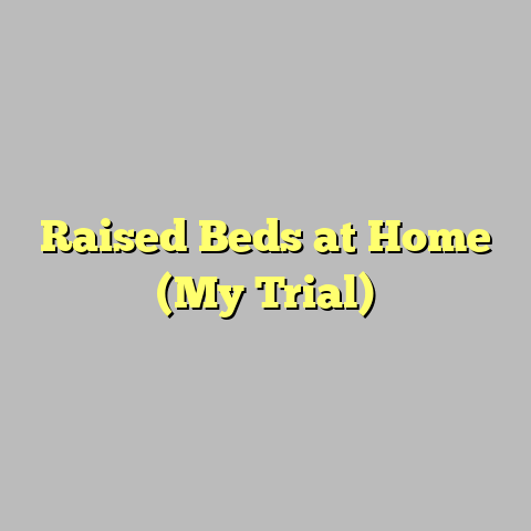 Raised Beds at Home (My Trial)