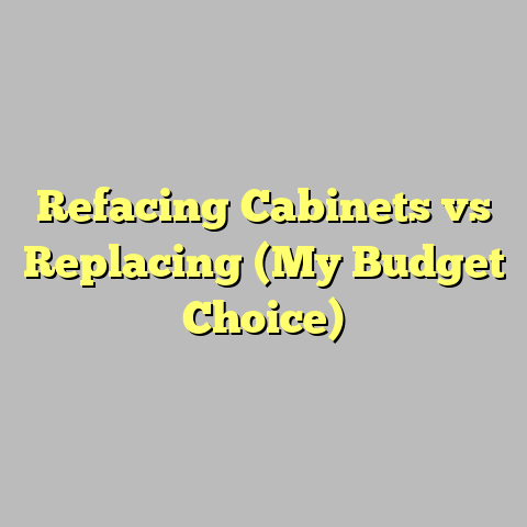 Refacing Cabinets vs Replacing (My Budget Choice)