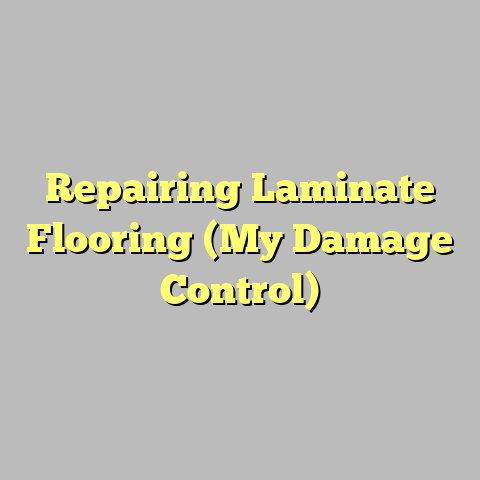 Repairing Laminate Flooring (My Damage Control)