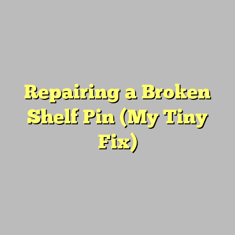Repairing a Broken Shelf Pin (My Tiny Fix)