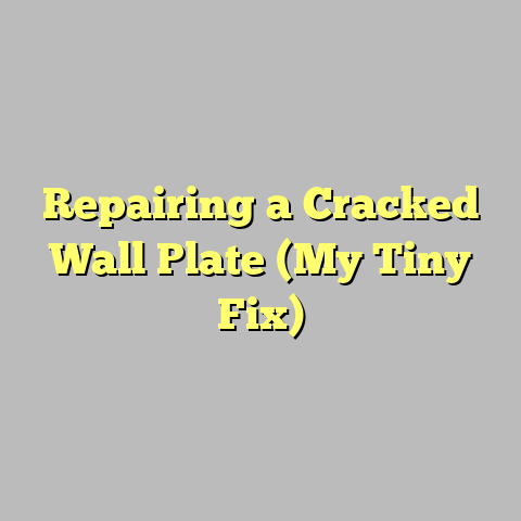 Repairing a Cracked Wall Plate (My Tiny Fix)
