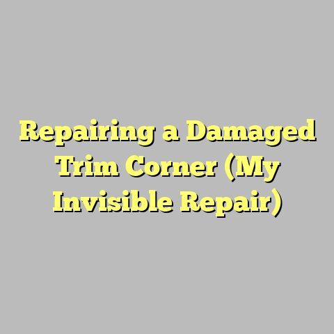 Repairing a Damaged Trim Corner (My Invisible Repair)