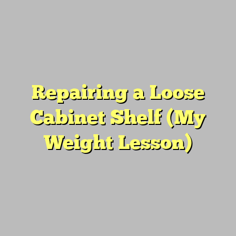 Repairing a Loose Cabinet Shelf (My Weight Lesson)
