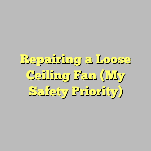Repairing a Loose Ceiling Fan (My Safety Priority)