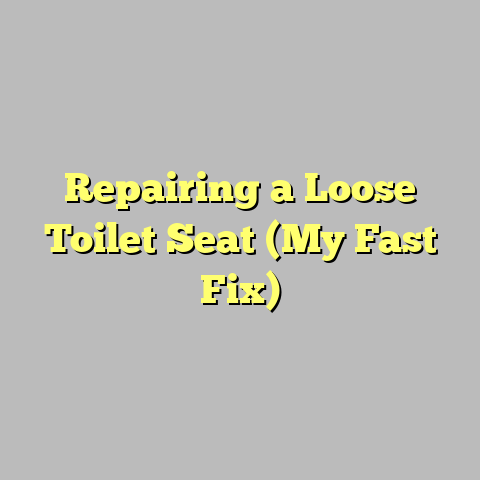 Repairing a Loose Toilet Seat (My Fast Fix)