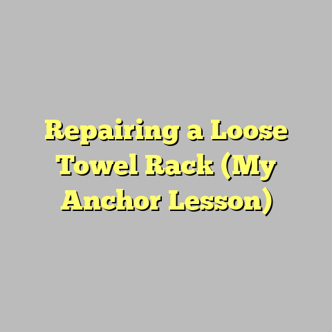 Repairing a Loose Towel Rack (My Anchor Lesson)