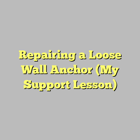 Repairing a Loose Wall Anchor (My Support Lesson)