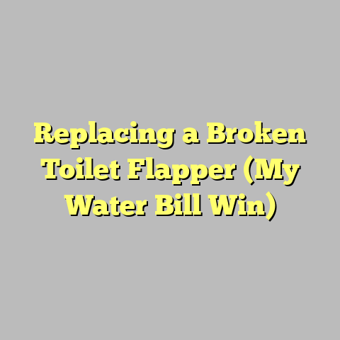 Replacing a Broken Toilet Flapper (My Water Bill Win)
