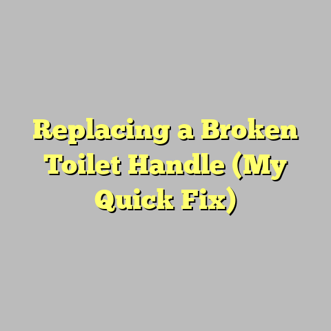 Replacing a Broken Toilet Handle (My Quick Fix)