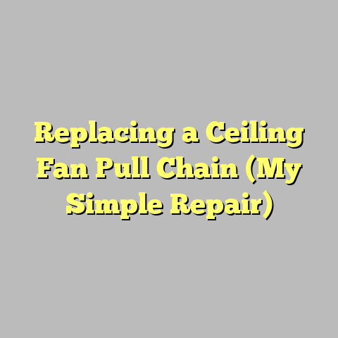 Replacing a Ceiling Fan Pull Chain (My Simple Repair)