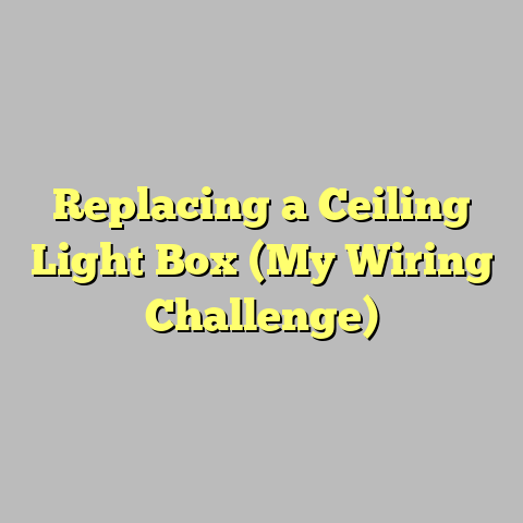 Replacing a Ceiling Light Box (My Wiring Challenge)