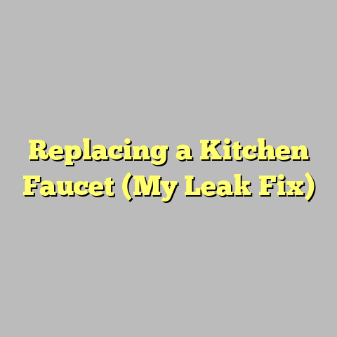 Replacing a Kitchen Faucet (My Leak Fix)