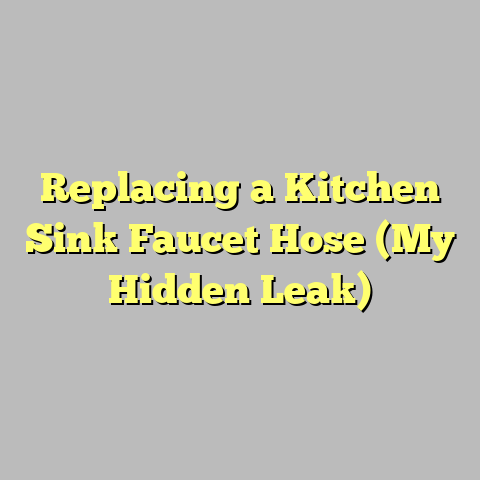 Replacing a Kitchen Sink Faucet Hose (My Hidden Leak)