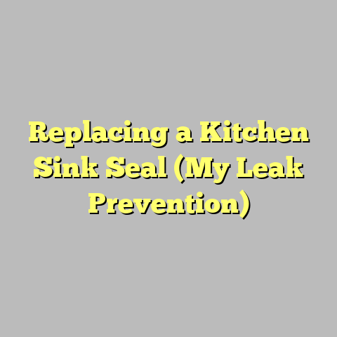 Replacing a Kitchen Sink Seal (My Leak Prevention)