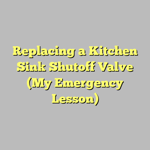 Replacing a Kitchen Sink Shutoff Valve (My Emergency Lesson)
