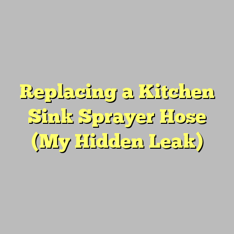 Replacing a Kitchen Sink Sprayer Hose (My Hidden Leak)