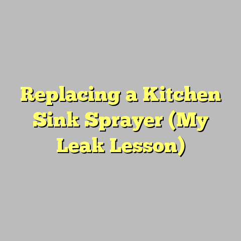 Replacing a Kitchen Sink Sprayer (My Leak Lesson)