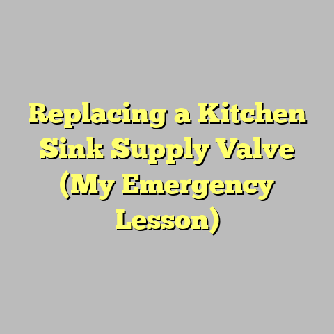Replacing a Kitchen Sink Supply Valve (My Emergency Lesson)