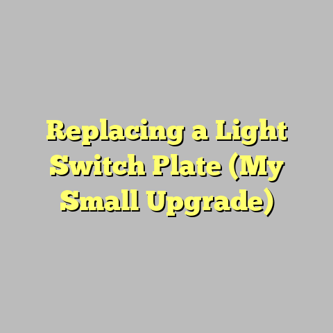 Replacing a Light Switch Plate (My Small Upgrade)
