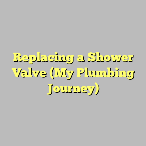 Replacing a Shower Valve (My Plumbing Journey)