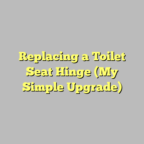 Replacing a Toilet Seat Hinge (My Simple Upgrade)