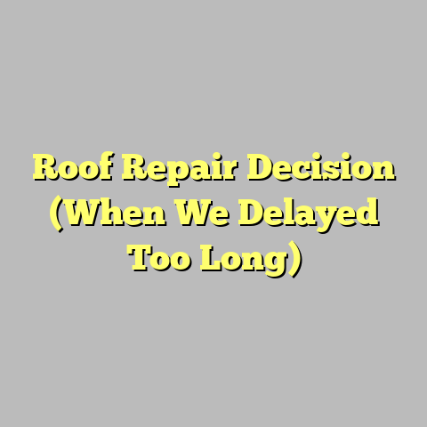Roof Repair Decision (When We Delayed Too Long)