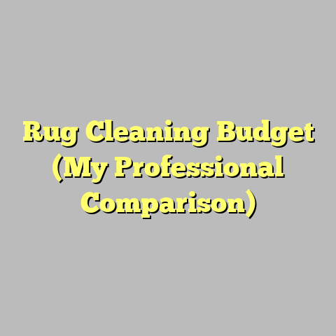Rug Cleaning Budget (My Professional Comparison)