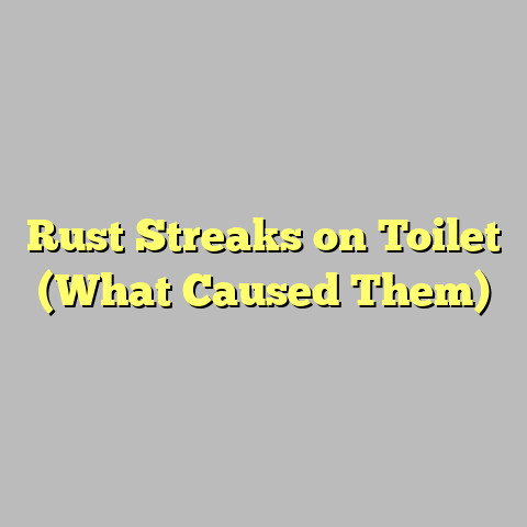 Rust Streaks on Toilet (What Caused Them)