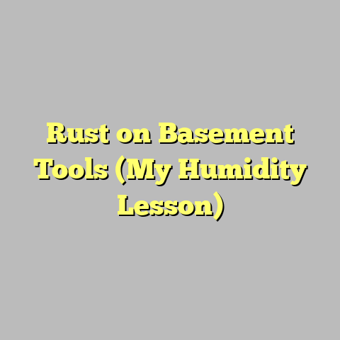 Rust on Basement Tools (My Humidity Lesson)