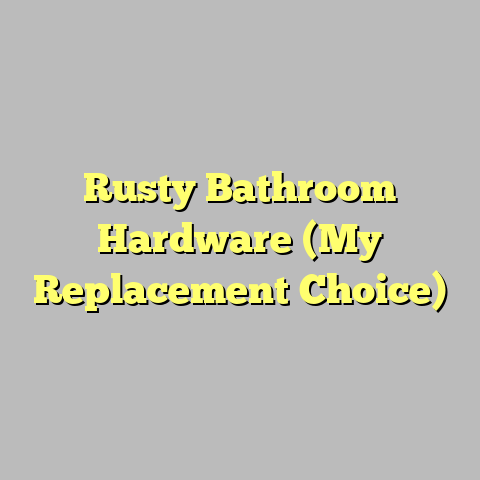 Rusty Bathroom Hardware (My Replacement Choice)