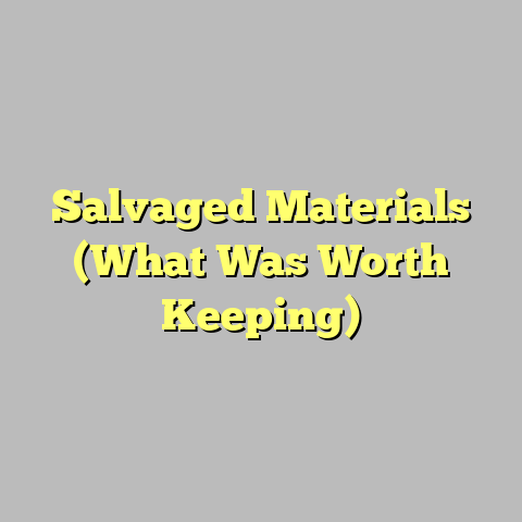 Salvaged Materials (What Was Worth Keeping)