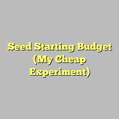 Seed Starting Budget (My Cheap Experiment)
