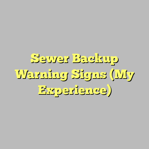 Sewer Backup Warning Signs (My Experience)