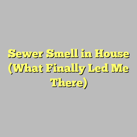 Sewer Smell in House (What Finally Led Me There)