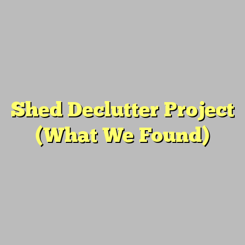 Shed Declutter Project (What We Found)