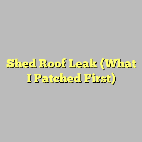 Shed Roof Leak (What I Patched First)