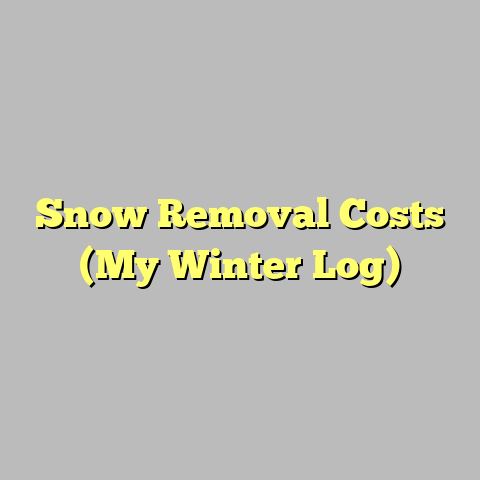 Snow Removal Costs (My Winter Log)