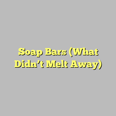 Soap Bars (What Didn’t Melt Away)