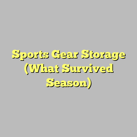 Sports Gear Storage (What Survived Season)