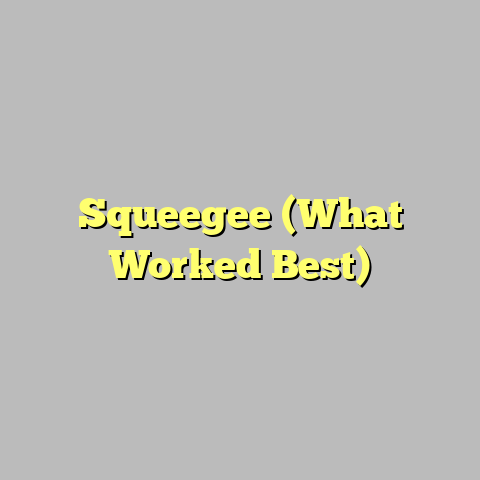 Squeegee (What Worked Best)