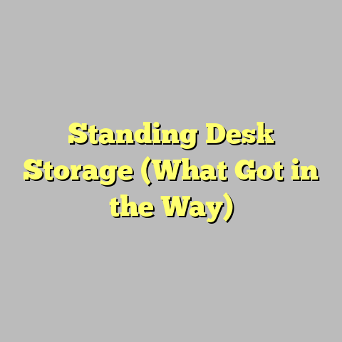 Standing Desk Storage (What Got in the Way)