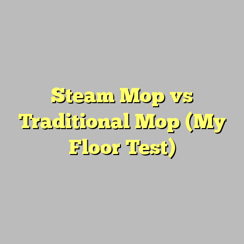 Steam Mop vs Traditional Mop (My Floor Test)