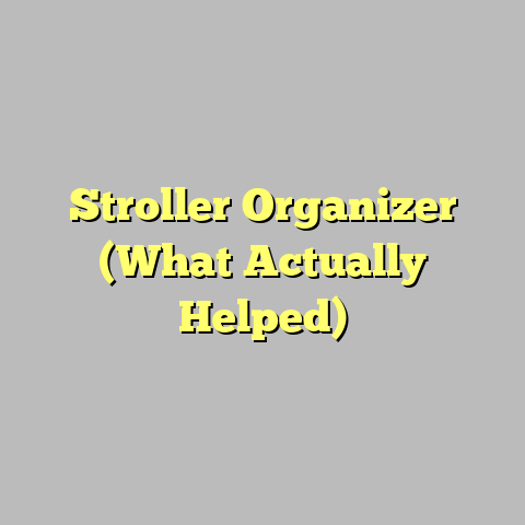 Stroller Organizer (What Actually Helped)
