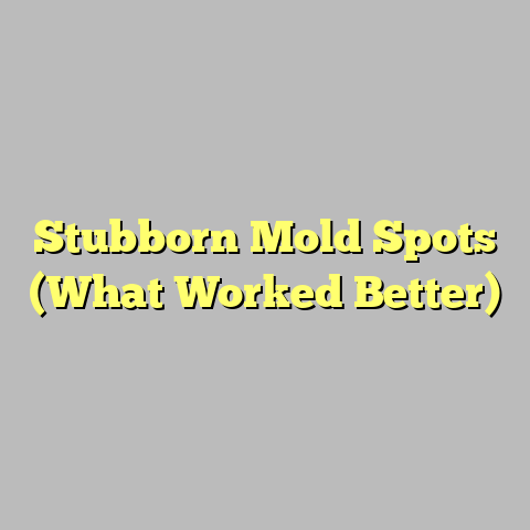 Stubborn Mold Spots (What Worked Better)