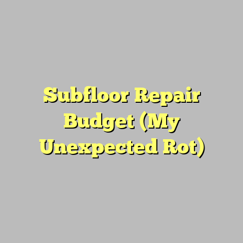 Subfloor Repair Budget (My Unexpected Rot)