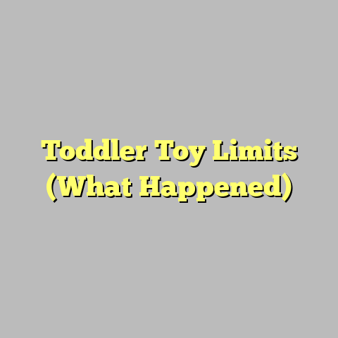 Toddler Toy Limits (What Happened)
