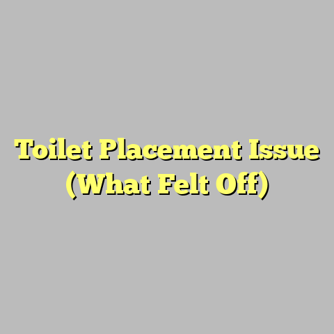 Toilet Placement Issue (What Felt Off)