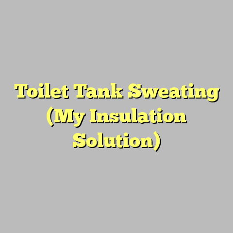Toilet Tank Sweating (My Insulation Solution)