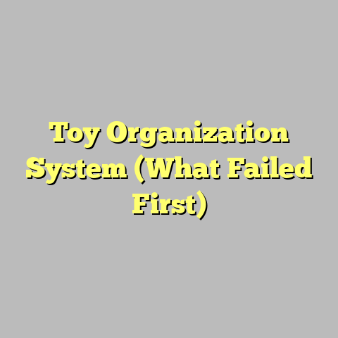 Toy Organization System (What Failed First)